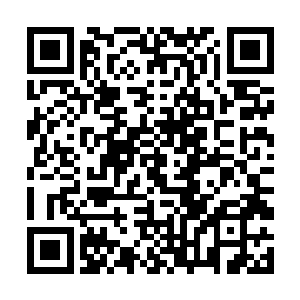 脑海中闪过曾经记忆里网络聊天时的那无数有趣表情二维码生成