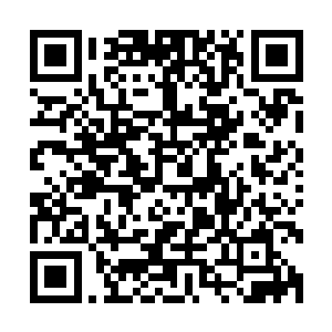 脑袋在一瞬间便如同是被汽车轮胎碾压到的西瓜一样轰然爆开二维码生成