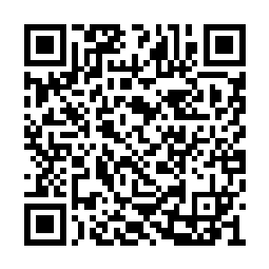 脚下的海水也剔透得仿佛一眼能看穿幽深的海底二维码生成