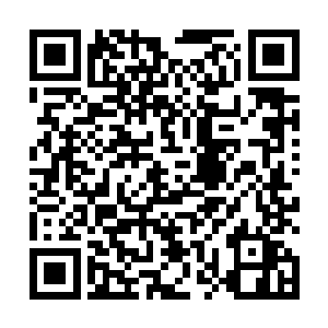 脚踏在只有食指那么粗的细枝条上竟没让枝条颤动一下二维码生成