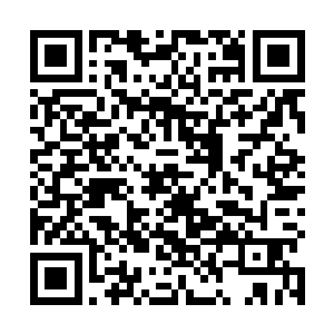 脱掉了他最喜欢的皮裘换上汉家的衣衫他总觉得不对劲二维码生成