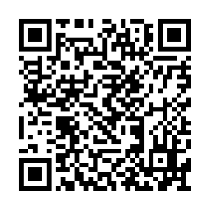 脱离桎梏的暴君此刻完全化为了一头出笼的凶兽二维码生成