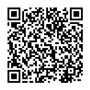 脸色爆红却是并没有甩手离去只尴尬的立在原地默不作声不再开口二维码生成