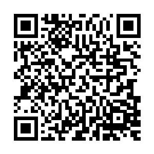 脸蛋红红的瞪着君无妄……虽然君无妄没有明说用什么方法解决二维码生成