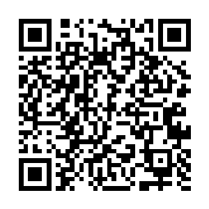 腊月二十九徐辛夷本是准备和秦林同去拜访这位堂兄二维码生成