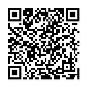 臧红衣以及之前死掉的几个弟子身上的宝贝全部收了过来二维码生成
