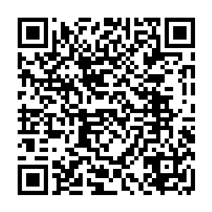 自从分辨出谁是谁之后就再没多看谢柔嘉一眼的视线顿时落在谢柔嘉身上二维码生成