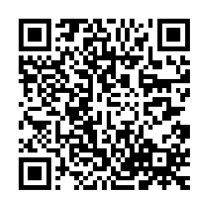 自从来到符神界还真没听说过虚无极符神主在哪出现过的信息二维码生成