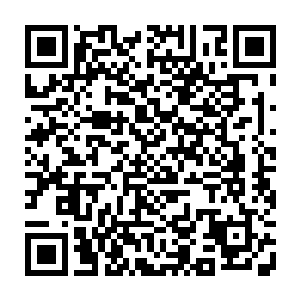 自从贝海上次放了小松鼠之后这一家两口子就完全不把贝海当成一会事了二维码生成