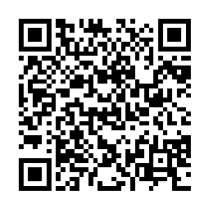 自己也差不多一个多星期都没换过衣服了独行者也是人二维码生成