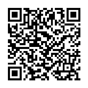 自己价值一百多万的藏獒昨天晚上刚刚被人宰了二维码生成