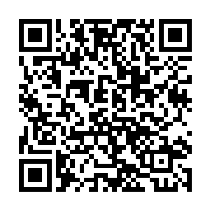 自己倒是想要看一看杨琛他们究竟是什么样子的表现二维码生成