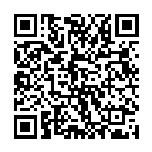 自己和统领燕都之间只有一个君无极和无极宫的距离二维码生成