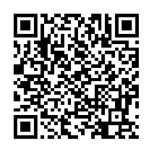 自己和这三个女生在这次试炼中的缘分也就差不多要尽了二维码生成