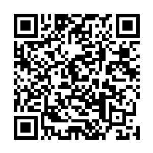 自己和黑岛雇佣兵的这十几个人到底能不能撑到任务完成二维码生成