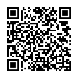 自己唯一的徒弟跪在外面这般凄惨他心里怎么会好受二维码生成