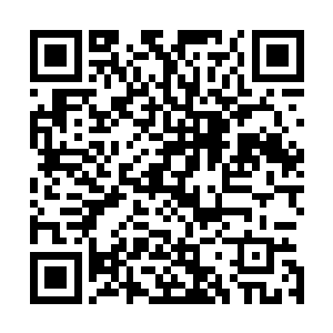 自己已经不上班的爸妈今天一大早就跑出去一整天做什么了二维码生成