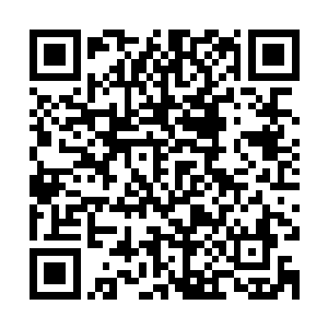 自己已经威功的在徐晓春和张立本心目中留下了一个不错的印象二维码生成