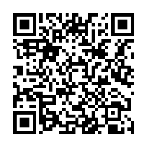 自己每一次摆动着身体都能完美的配合着海浪运动的轨迹二维码生成