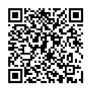 自己的检测系统甚至没有检测到对方装甲的丝毫震动和变形二维码生成