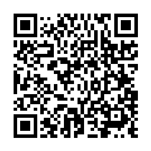 自己的目光不经意的朝着几位熟悉的师兄师姐看过去的时候二维码生成