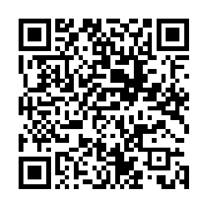 自己确实曾经把方应物那盖有钦差关防大印的公文置之不理二维码生成