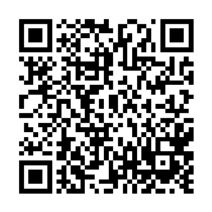 自己离开军寨的时候留给他的大礼也不知道收获如何二维码生成