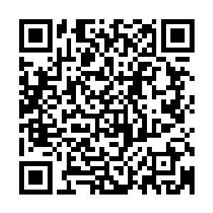 自己竞争副厂长的事情在姚志善被正式逮捕之后就彻底出局了二维码生成