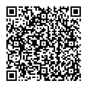 自己觉醒的先祖血脉和曾经在潜龙堂器物院订制的2000支掌中箭的信息有可能已经不是什么秘密了二维码生成