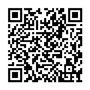 自己除了手里这份纸质文件之外没有任何的武器二维码生成