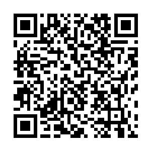 自打周海听说传媒院出动学院之花拉去了边学道和成大器二维码生成