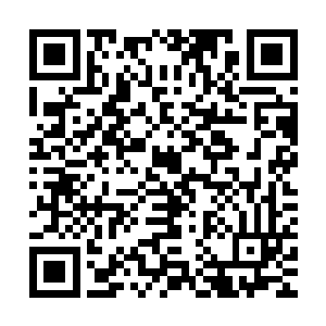 自是要合作互信……我永远不会忘记大司命殿下的一路提携之情二维码生成