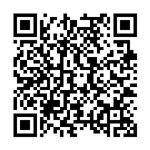 自此之后青玄真人也被冠之以修真界第一人的称号二维码生成