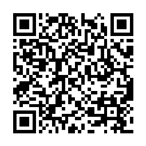 自然不会客气的……直接从秦方的手中夺过了丹药二维码生成