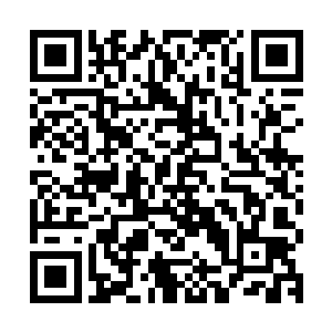 自然不屑于去跟眼前这帮高中生去挤高考这根应试教育的独木桥二维码生成