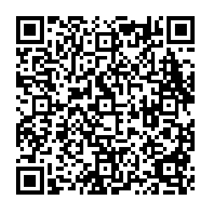 自然是想不到大老板新年给她的福利竟然是可以在京都欣赏最神秘最正宗的艺妓表演二维码生成