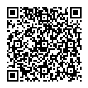 自然是瞒不住身在局中的小海皇波塞希的……他对于自己施展的海神之盾本源是信心满满的二维码生成