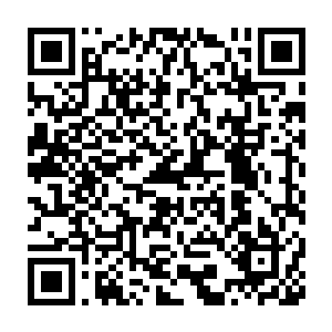 自然有成群结队的人帮他出手的……那才真的是蝗虫过境一般的可怕二维码生成