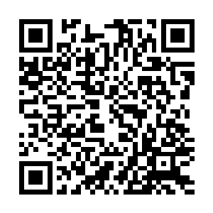 自然而然也能在神虚境界的妖兽霸主的攻击下坚持一段时间二维码生成