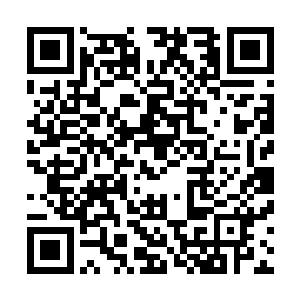 自觉追求宁灵雨无望的谢俊彦才暂时放弃了对宁灵雨的心思二维码生成