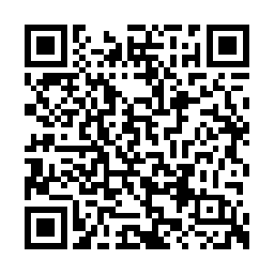 臭着脸盯着李丽华头上那已经开始倒计时的数字二维码生成