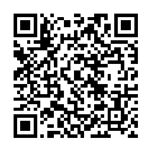至于从另外两名学徒手上得到的半把匕首和残缺手掌二维码生成