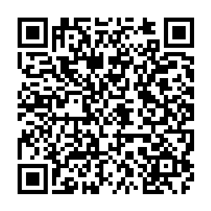 至于你们为什么没有听说过主要是因为天龙宗成立没有多久还没有人知道罢了二维码生成