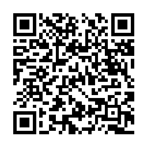 至于北冥香韵坐上家主的位置后会怎么帮助这小子二维码生成