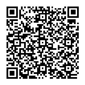 至于同在一个船舱里的多闻天王则一直透过开出一条缝的窗户朝着花果山的方向眺望二维码生成