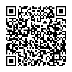 至于后来被绵老带回来的无忧兄弟也不知道之前遭遇过什么性格都很冷漠二维码生成