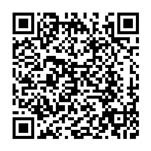至于在我身边的那个小箢箕鬼早已经吓得浑身打颤死死的抓着我的衣角二维码生成