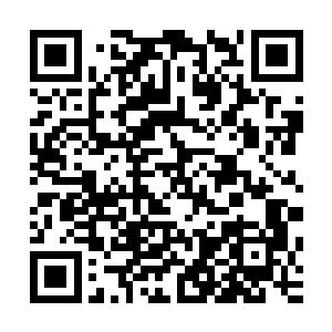 至于木行峰禁地的两大最关键的传承――乙木神诀和甲木神诀二维码生成
