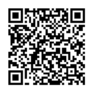 至于滚不滚……大家的视线又都刷刷刷的注视着苏落二维码生成
