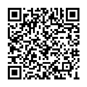 至于这么做会不会得罪王金旺杨修元也算看开了二维码生成